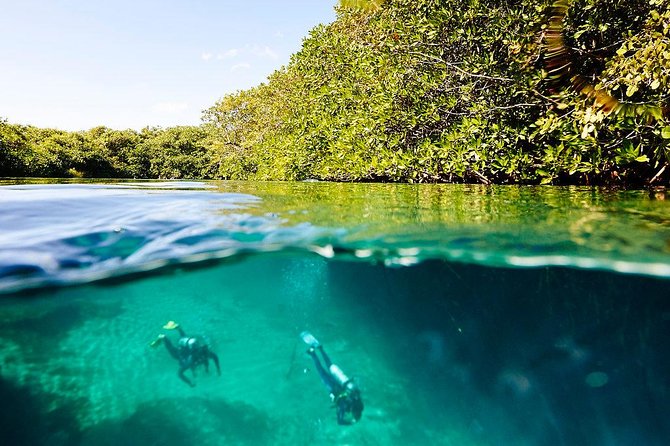 Amazing Beginner Dive in Tulum Cenote (Or Refresher Dive) - Instructor Experience and Reviews