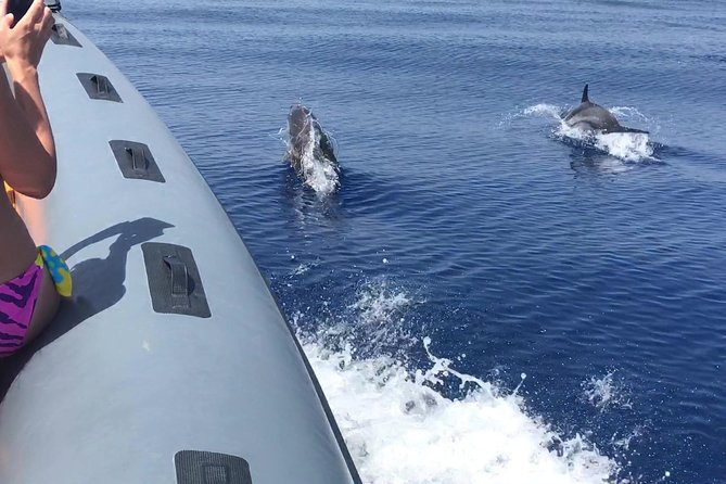Amazing Boat Trip From Tropea to Capo Vaticano - 6 to 12 People - Frequently Asked Questions