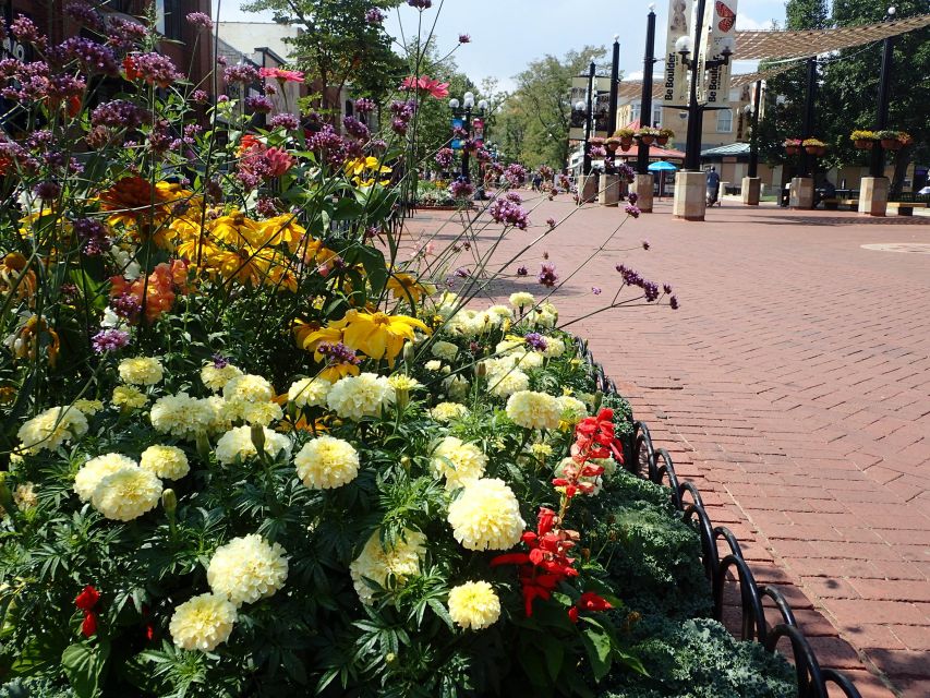 Amazing Boulder Scavenger Hunt Adventure - Using the Smartphone