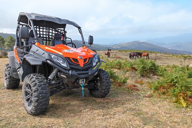 Amazing Buggy Ride in Corno do Bico - Key Points