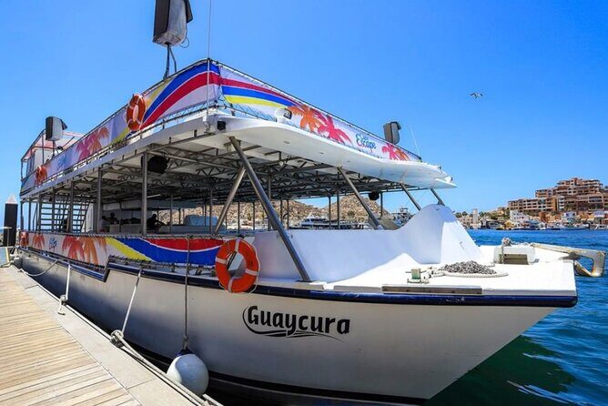 Amazing Cabo and Snorkel Adventure - A Closer Look at the Cabo Snorkel and Sail Experience