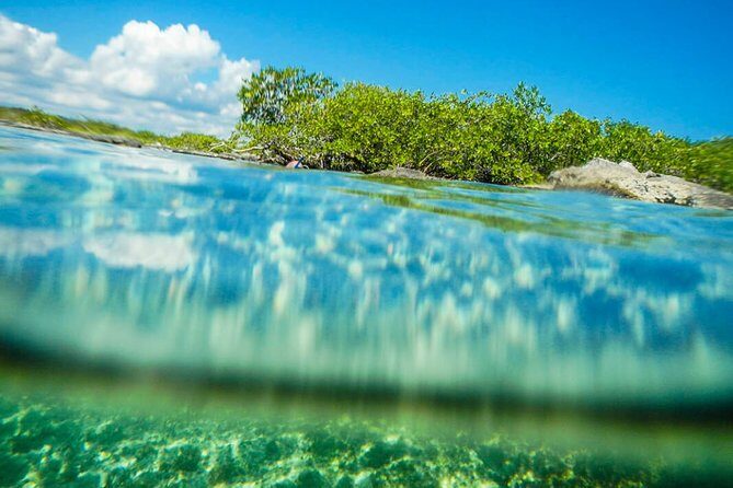 Amazing Cenote Yalku, swim in sacred waters. Transport & Guide - The Sum Up: Why Choose This Tour?