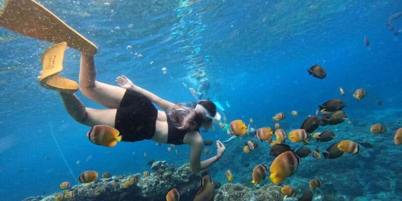 Amazing Cham Island Snorkeling Tour From Hoi An or Da Nang - Transportation and Pickup Details