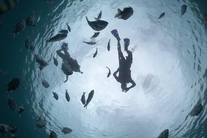 Amazing Clear Boat Adventure and Unlimited Beach Break with Lunch - Who Should Consider This Tour?