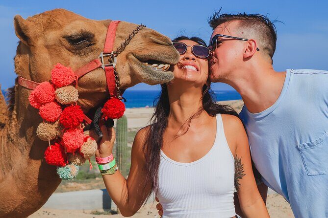 Amazing Combo Adventure in Los Cabos México - Authentic Traveler Insights