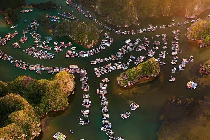 Amazing Day - Boat Trip Discover Real Ha Long Bay and Lan Ha Bay - Meeting and Pickup Information
