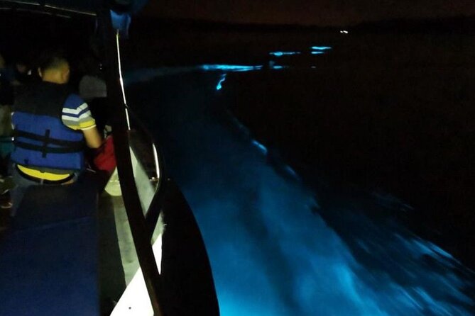 Amazing Fireflies With Blue Tears Watching & Kuala Selangor Tour - Visiting Temples and Viewpoints