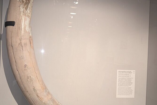 Amazing guided Notre dame and Ile de la cité tour with crypt - Final Thoughts: Is This Tour for You?