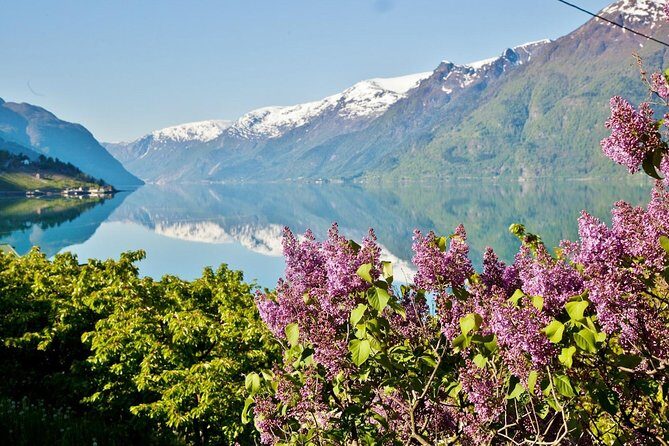 AMAZING HARDANGER FJORD: Private guided round trip from Bergen, 10 hours - The Sum Up