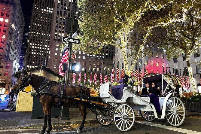 Amazing Horse and Carriage Rockefeller and Christmas lights tour - Key Points