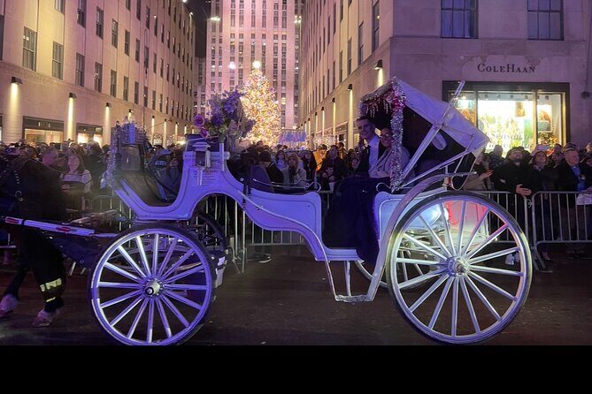 Amazing Horse and Carriage Rockefeller and Christmas lights tour - A Deep Dive into the Experience