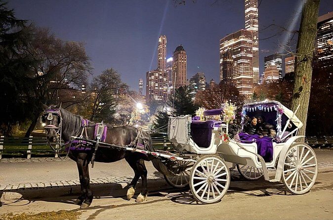 Amazing Horse and Carriage Rockefeller and Christmas lights tour - FAQ
