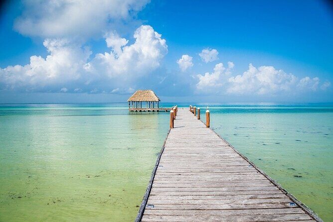 Amazing Isla Holbox Tour Departure from Playa del Carmen - Final Thoughts: Is This Tour Right for You?