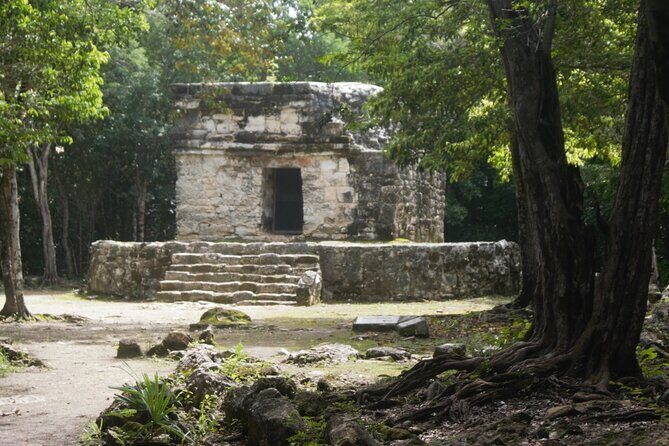 Amazing Jeep Tour Visit Punta Sur Park and San Gervasio Ruins - Final Thoughts