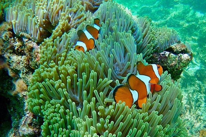Amazing Krabi 7 Islands One Day Snorkeling Tour By Big Longtail Boat - Tips for a Memorable Experience