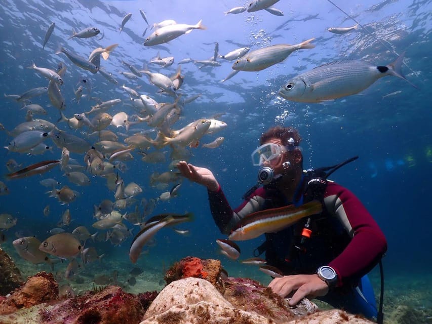 AMAZING KUSADASI SCUBA DIVING - Detailed Breakdown of the Experience