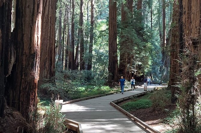 Amazing Muir Woods and Sausalito Tour - Transportation Details