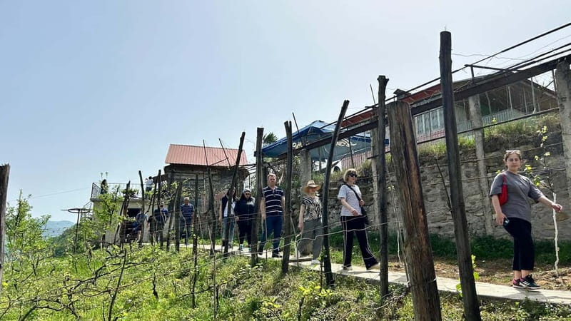 Amazing one-day trip in Lechkhumi from Kutaisi - Final Thoughts