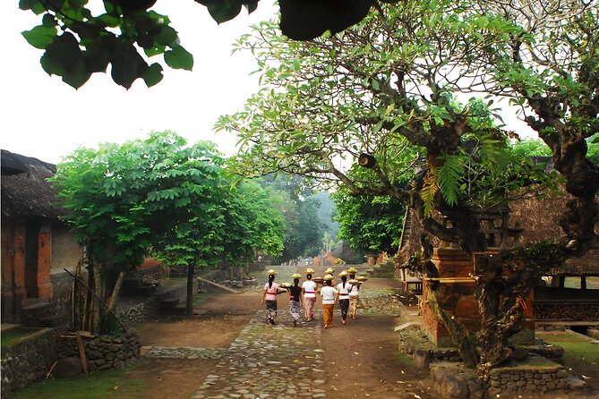 Amazing Private East Bali Full-Day Tour - Health and Accessibility