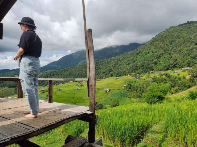 Amazing Rice-Fields Terraces of Ban Pa Pong Pieng. (Private) - Restrictions and Important Information