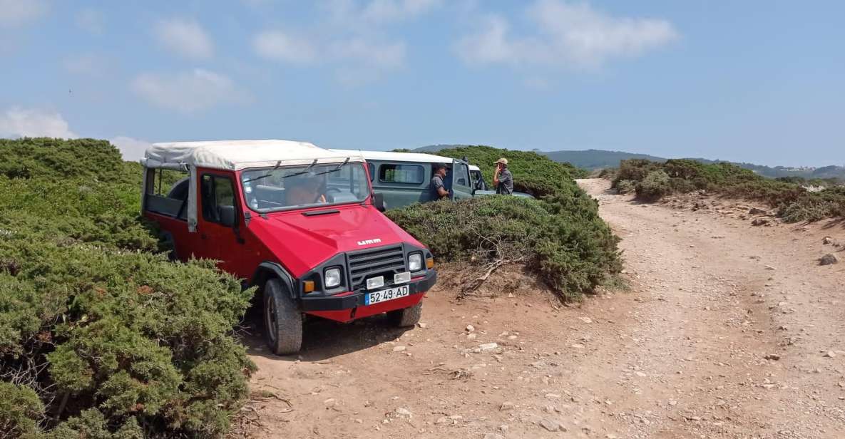 Amazing Sintra Tour - Cancellation Policy