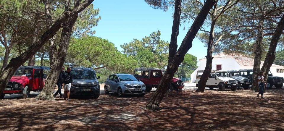 Amazing Sintra Tour - Language Options
