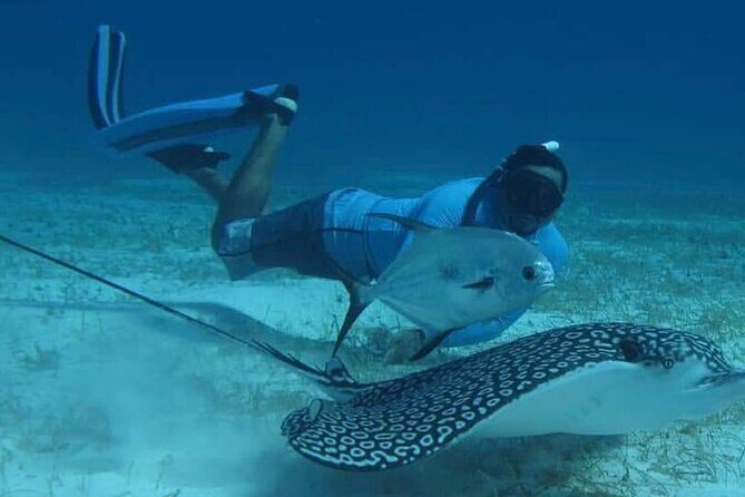 Amazing Snorkel Adventure! Round Transportation From Cancun - Itinerary Breakdown: What to Expect from Start to Finish