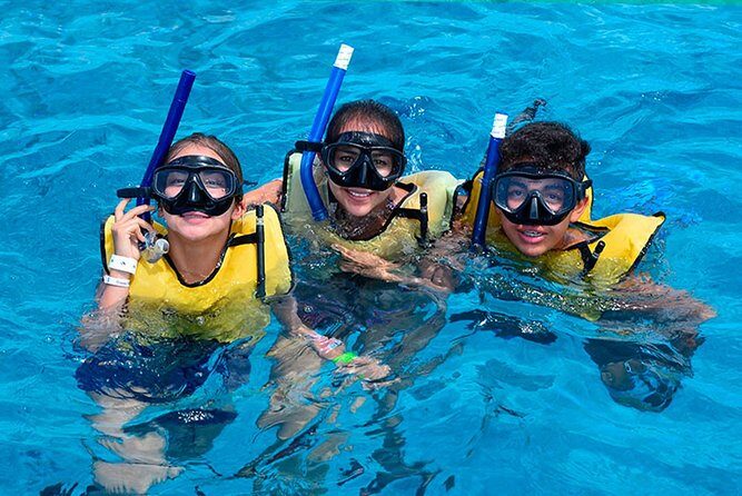 Amazing Snorkel Adventure! Round Transportation From Cancun - What’s Included and What’s Not?