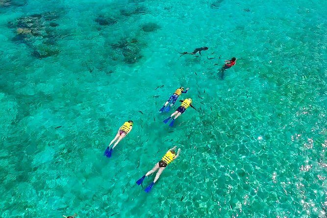 Amazing Snorkel Adventure! Round Transportation From Cancun - What Travelers Say