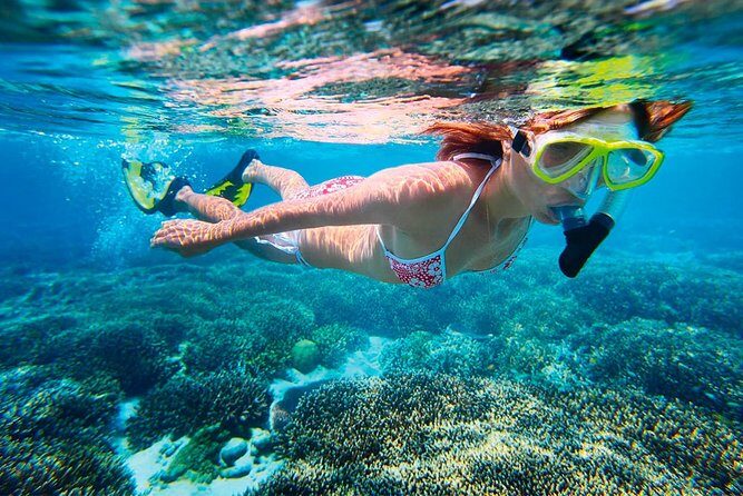 Amazing Snorkel Adventure! Round Transportation From Cancun - Practical Tips for Booking and Participating