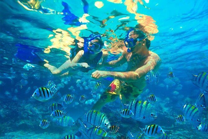 Amazing snorkeling full-day tour to Cozumel Cielo Starfish Reef - A Detailed Look at the Experience