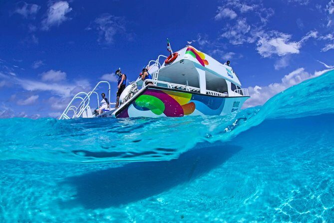 Amazing snorkeling full-day tour to Cozumel Cielo Starfish Reef - Who Is This Tour Best For?