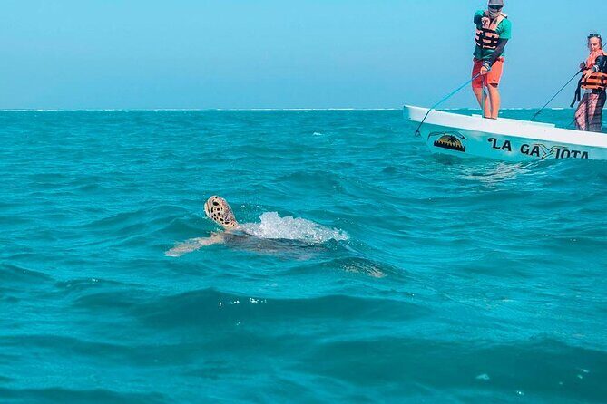Amazing Tour in Sian Kaan biosphere with Transportation from Cancún! - An In-Depth Look at the Tour Experience