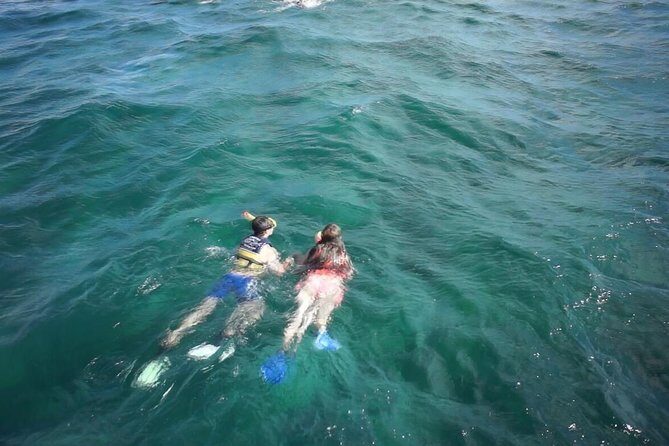 Amazing Unlimited Boat Trip to Isla Mujeres + Transportation from Cancún - Detailed Review of the Tour Experience