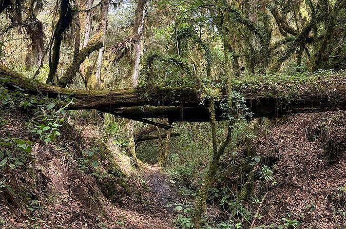 Amazing Walk through the Zapotec Mountains with Hot Chocolate - Views from the Top and the Warm Drink Experience