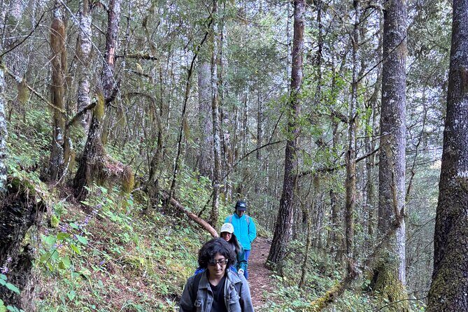 Amazing Walk through the Zapotec Mountains with Hot Chocolate - Final Thoughts: Is This Tour Worth It?