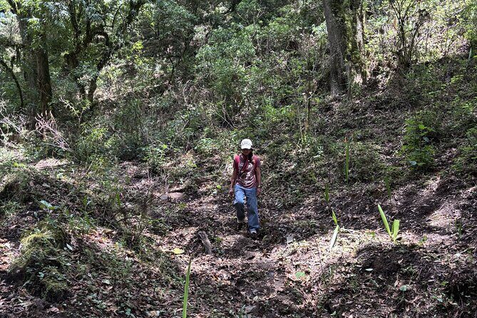 Amazing Walk through the Zapotec Mountains with Hot Chocolate - Frequently Asked Questions