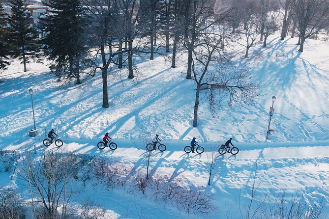 Amazing Winter Guided Biking Adventure in Old Quebec - Group Size and Confirmation