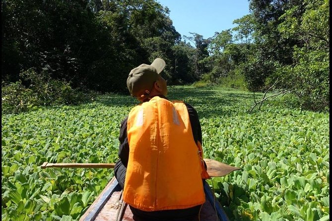 Amazon Jungle Expedition 4/ Days 3/ Nights 480 Usd - Included in the Package