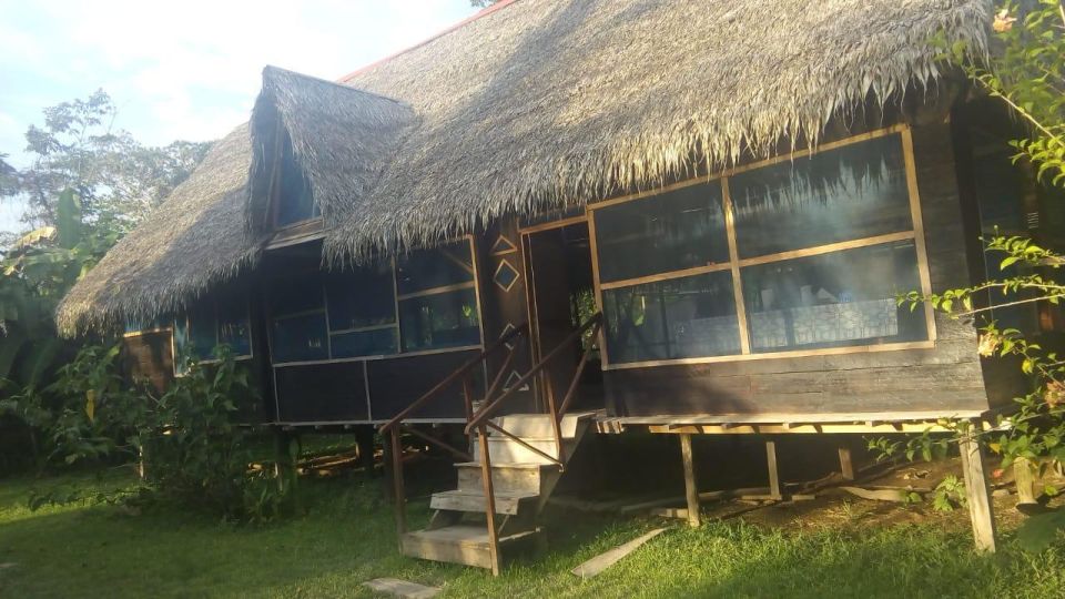Amazon Odyssey: Explore Rainforest Wonders on Our Tours! - Cultural Engagements