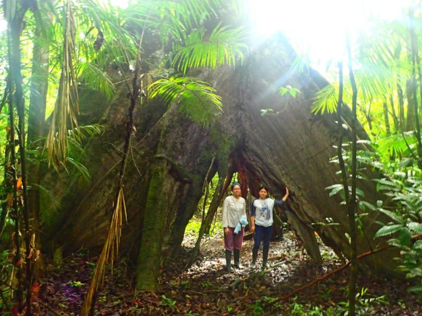 Amazon Odyssey: Explore Rainforest Wonders on Our Tours! - Booking and Cancellation Policies