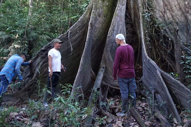 Amazon Tour Adventure 3/ Days 2/ Nights 360 Usd - Daily Itinerary - Day 1