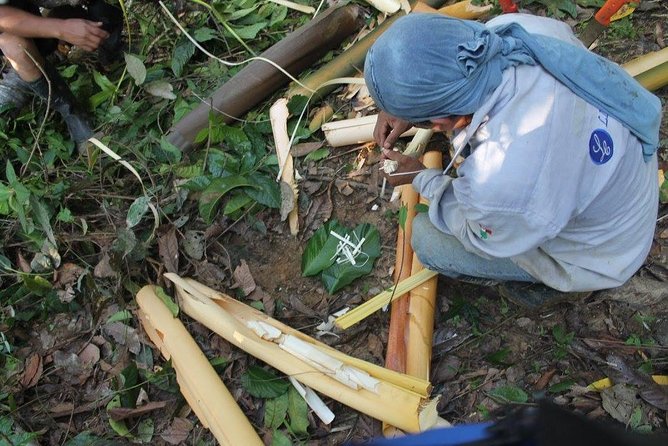 Amazon Tour Adventure 3/ Days 2/ Nights 360 Usd - Daily Itinerary - Day 2