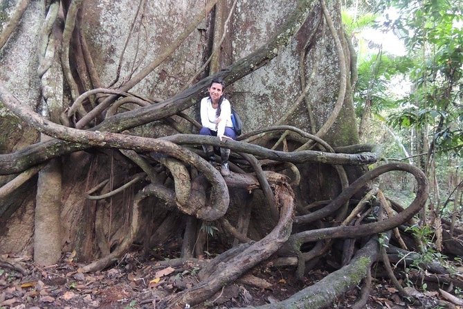 Amazon Tour Adventure 3/ Days 2/ Nights 360 Usd - Highlights