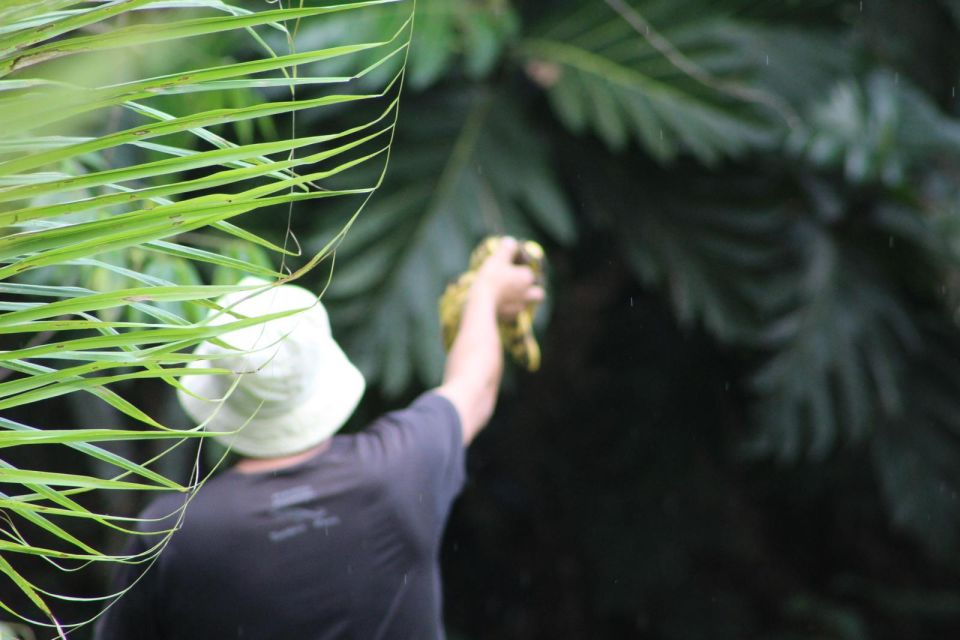 Amazonian Adventure 3 Days: Exploring the Jungle From Cusco - Frequently Asked Questions