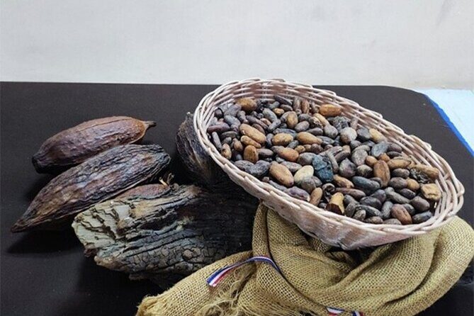 Ambar Chocolate Puerto Plata Culture and Colored Umbrella - FAQ