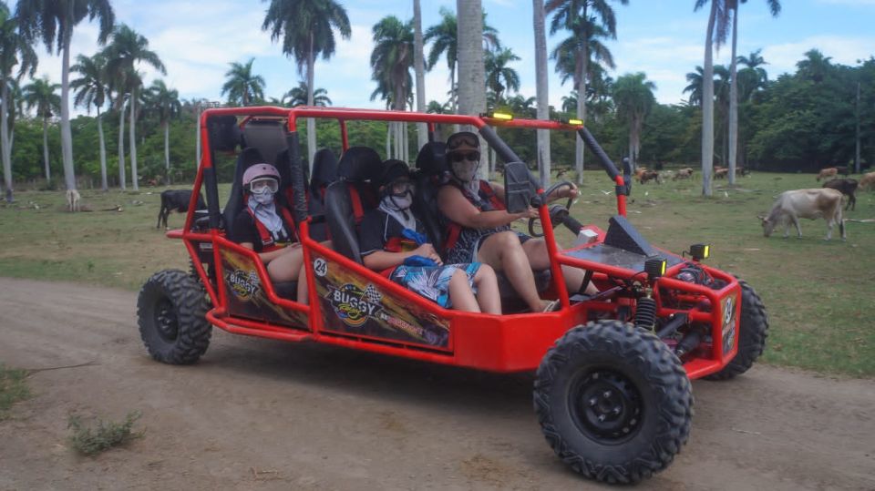 Amber Cove - Taino Bay 4 Seaters Super Buggy Tour - Key Points