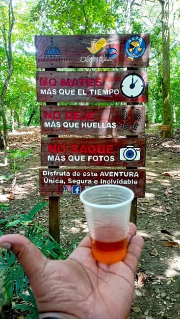 Amber Cove - Taino Bay 5 Zip Lines 7 Water Falls + Lunch To - Why This Tour Works Well