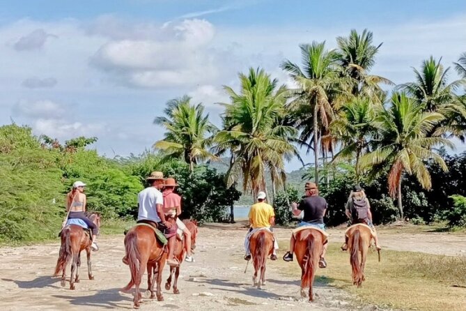 AMBER COVE-TAINO BAY Horses Beach Ride & City Sightseeing - Tips for a Great Experience