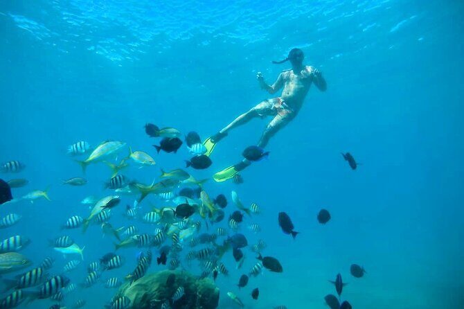 Amber Cove - Taino Bay Party Boat Snorkeling Whit Locale BBQ Tour - Celebrating on the Water